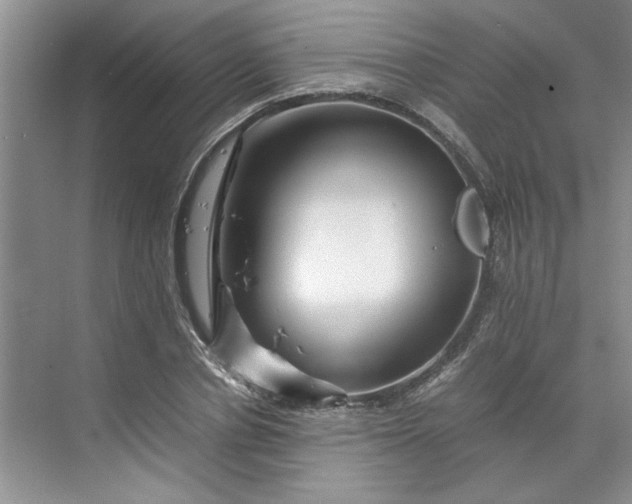 X0000070190834200606091530