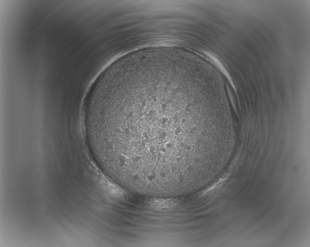 X0000070190835200606091530