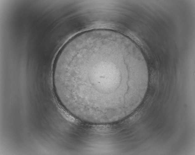 X0000070190836200606091530