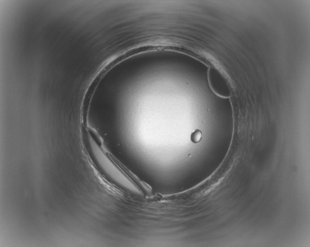 X0000070190837200606091530