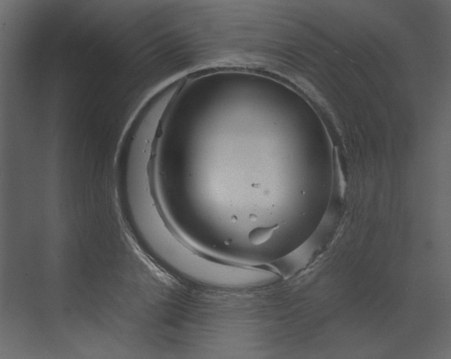 X0000070190838200606091530