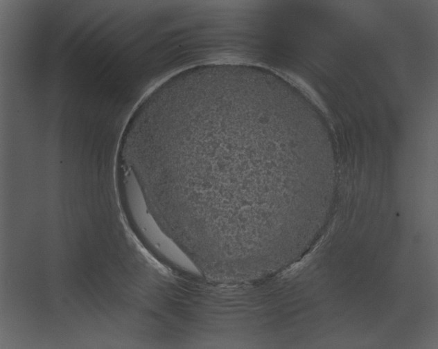 X0000070190839200606091530