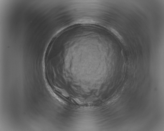 X0000070190840200606091530