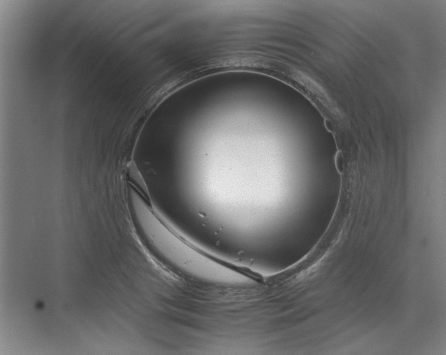 X0000070190841200606091530