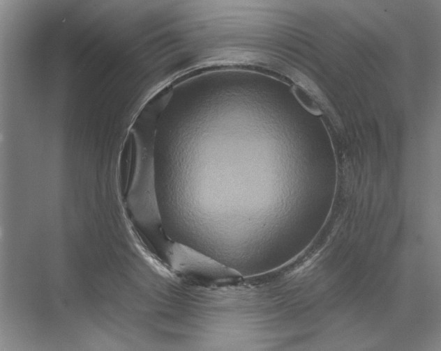 X0000070190842200606091530