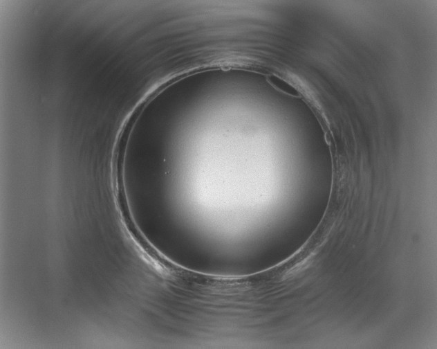 X0000070190843200606091530