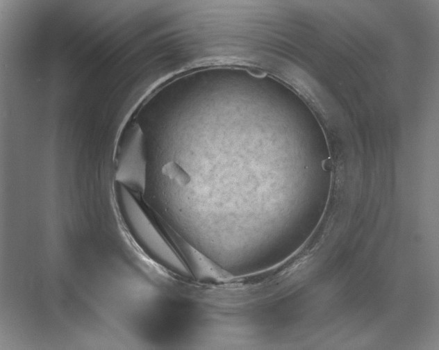 X0000070190844200606091530