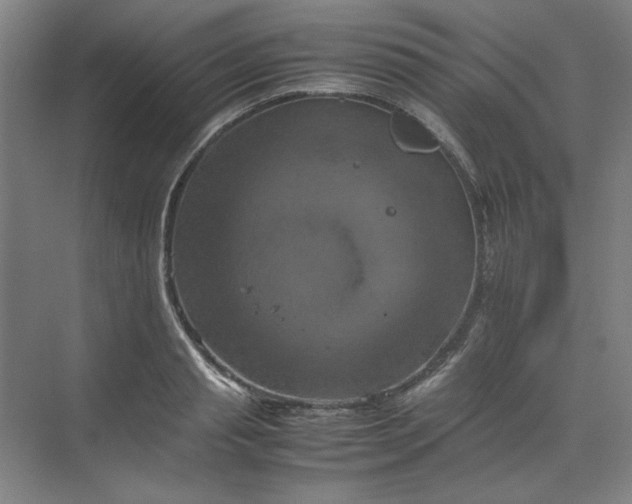 X0000070190845200606091530