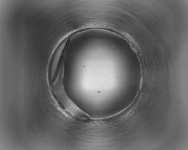 X0000070190846200606091530