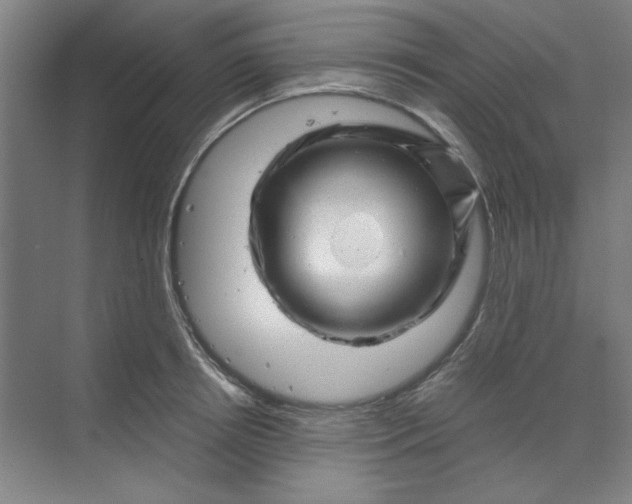 X0000070190850200606091530