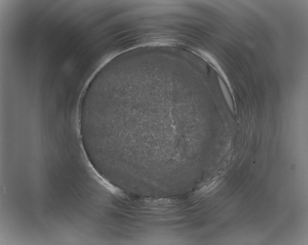 X0000070190851200606091531