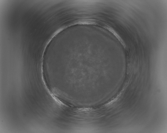 X0000070190853200606091531