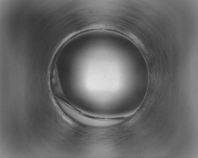 X0000070190854200606091531