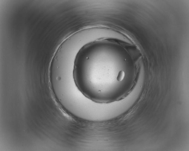 X0000070190858200606091531