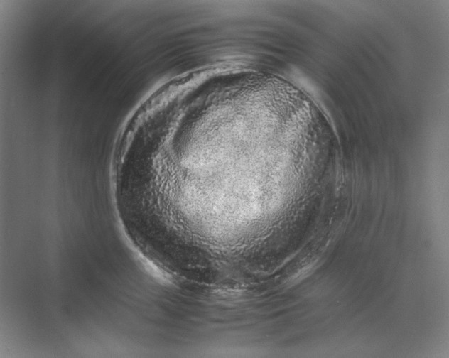 X0000070190859200606091531