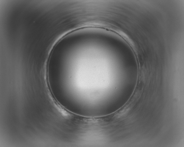 X0000070190862200606091531