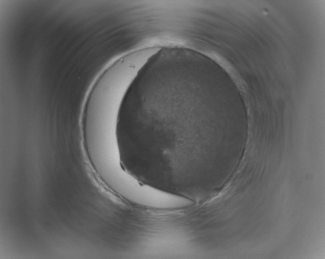 X0000070190864200606091531