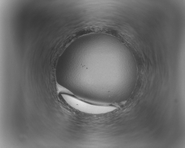 X0000070190865200606091530