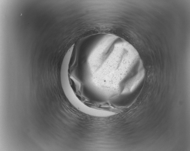 X0000070190866200606091530