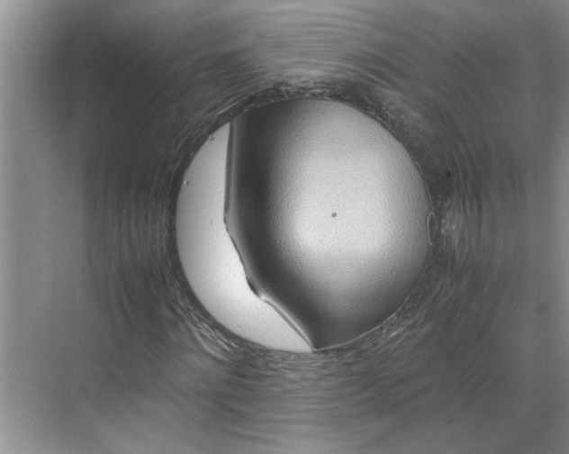 X0000070190868200606091530