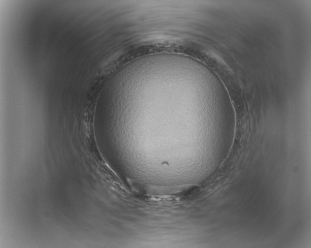 X0000070190869200606091530