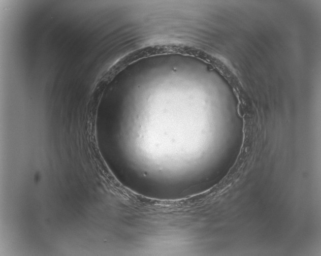 X0000070190871200606091530