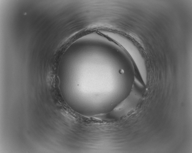 X0000070190872200606091530