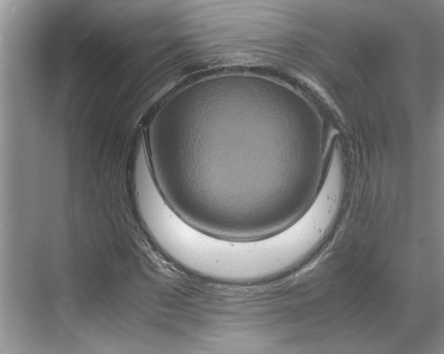 X0000070190873200606091530