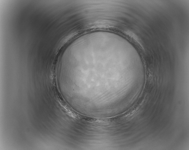 X0000070190874200606091530