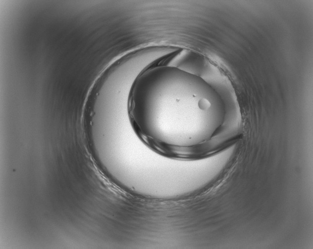 X0000070190876200606091530