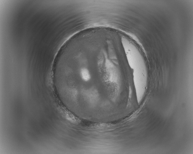 X0000070190879200606091530