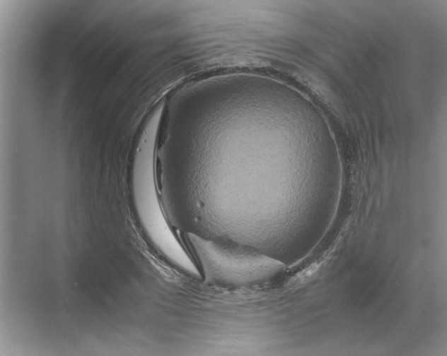 X0000070190881200606091530