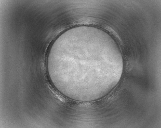 X0000070190882200606091530