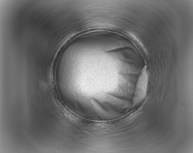 X0000070190883200606091530