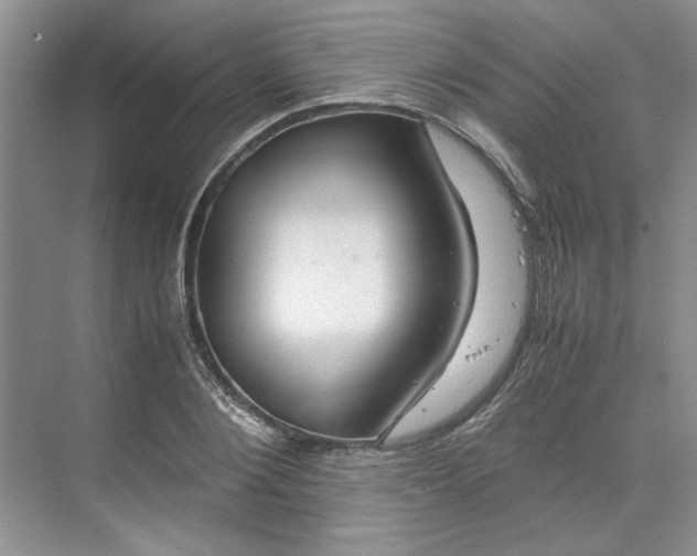 X0000070190884200606091530