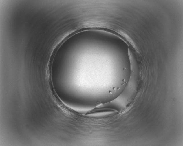 X0000070190885200606091530