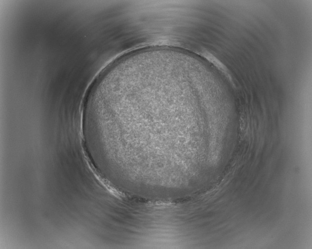 X0000070190886200606091530