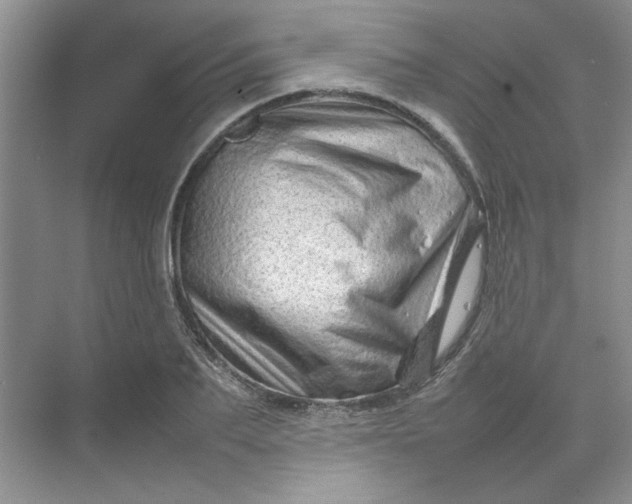 X0000070190887200606091530