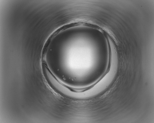 X0000070190888200606091530