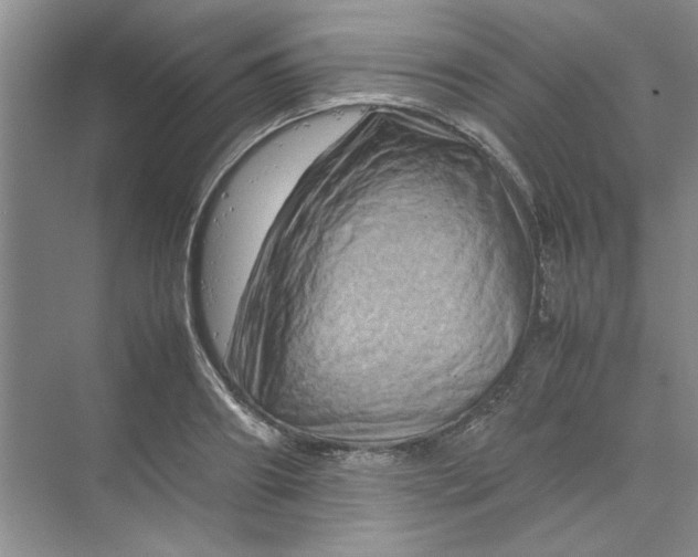 X0000070190890200606091529