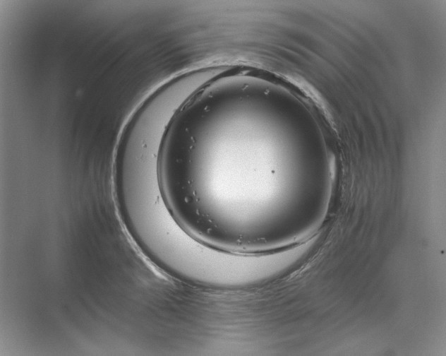 X0000070190894200606091529