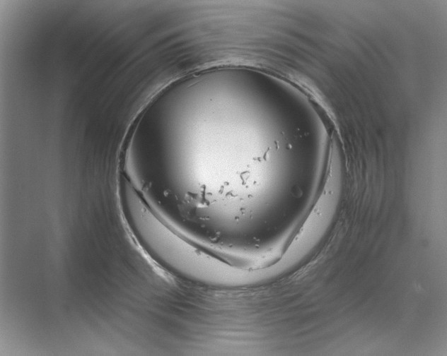 X0000070190898200606091529