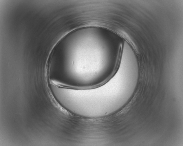 X0000070190900200606091529