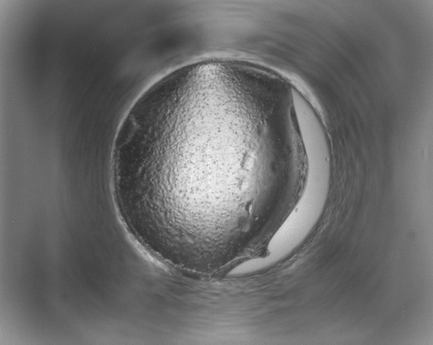 X0000070190903200606091529