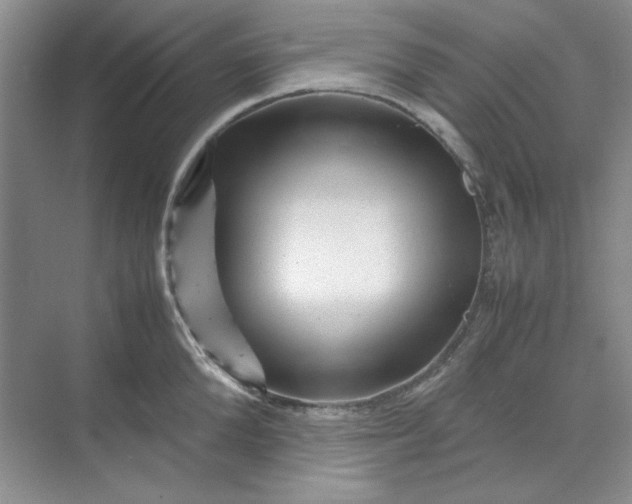 X0000070190904200606091529