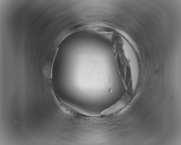 X0000070190905200606091529