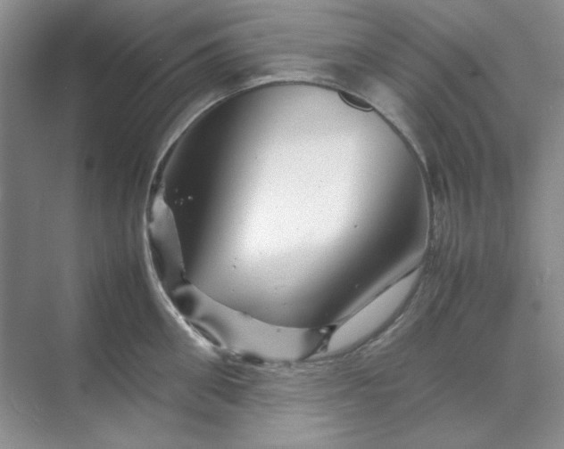 X0000070190906200606091529