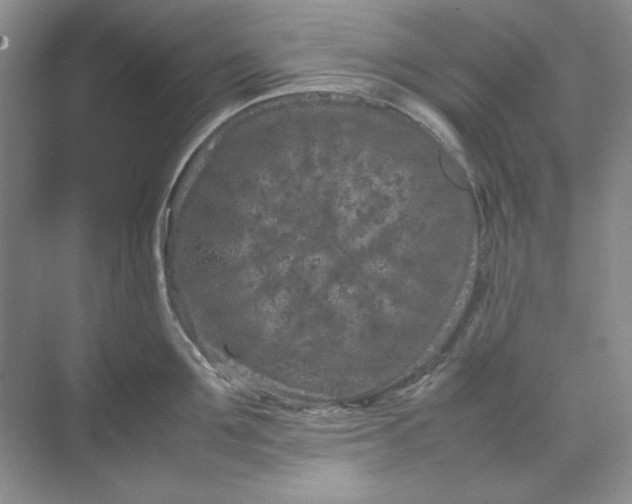 X0000070190907200606091529