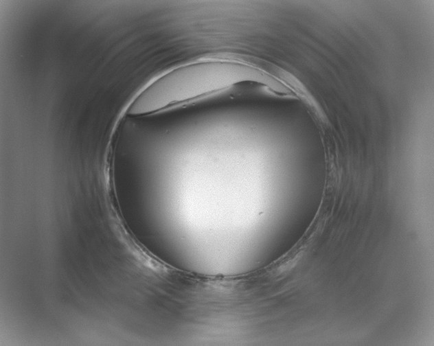 X0000070190908200606091529