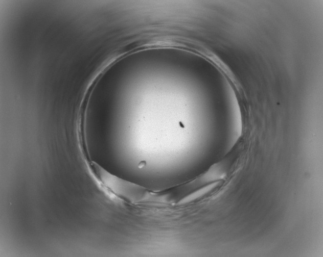 X0000070190909200606091529